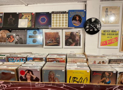 Mixed-genre album wall — punk, reggae, and more on display.